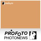 單色漸層紙1Kx2(368棕色)攝影專用背景紙，美國進口攝影專用，網拍商品最適用免去背